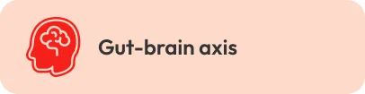 Gut Brain axis