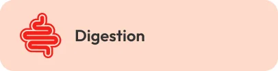 Digestion
